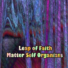 Leap-of-Faith-Matter-Self-Organizes Leap-of-Faith-Matter-Self-Organizes