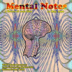 Mental-Notes-8016