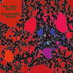 Metal-Chaos-Ensemble-Post-Transition-Elements