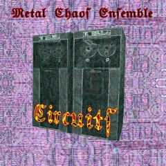 Metal-Chaos-Ensemble-circuits