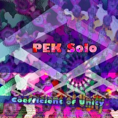 PEK-Solo-Coefficient-of-Unity