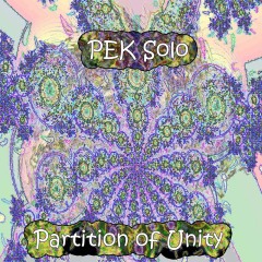 PEK-Solo-Partition-of-Unity