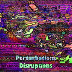 Perturbations-Disruptions
