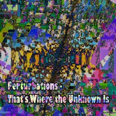 Perturbations-Thats-Where-the-Unknown-Is... Perturbations-Thats-Where-the-Unknown-Is...
