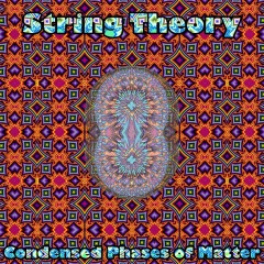 String-Theory-Condensed-Phases-of-Matter