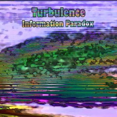 Turbulence-Information-Paradox